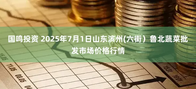 国鸣投资 2025年7月1日山东滨州(六街）鲁北蔬菜批发市场价格行情