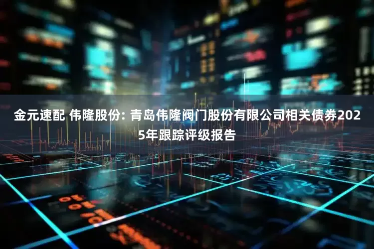 金元速配 伟隆股份: 青岛伟隆阀门股份有限公司相关债券2025年跟踪评级报告