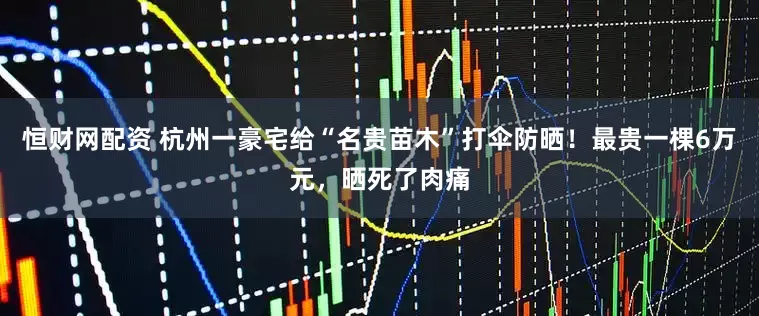 恒财网配资 杭州一豪宅给“名贵苗木”打伞防晒！最贵一棵6万元，晒死了肉痛
