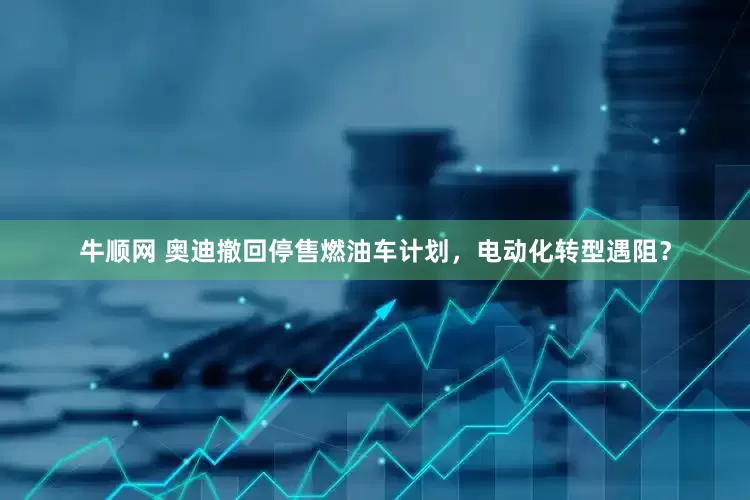 牛顺网 奥迪撤回停售燃油车计划，电动化转型遇阻？