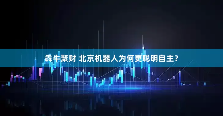 犇牛聚财 北京机器人为何更聪明自主？
