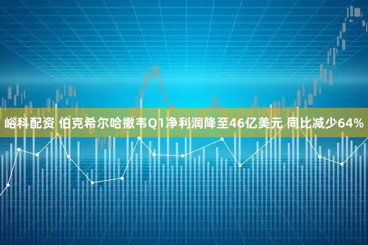 峪科配资 伯克希尔哈撒韦Q1净利润降至46亿美元 同比减少64%