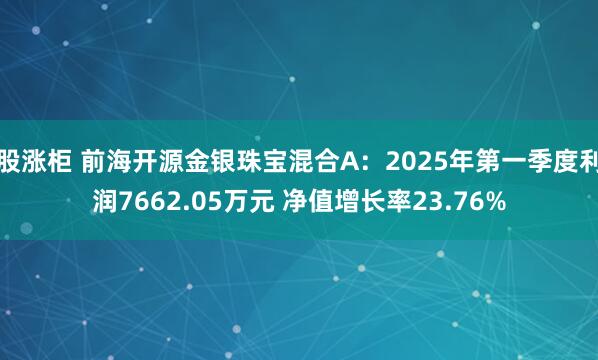 股涨柜 前海开源金银珠宝混合A：2025年第一季度利润7662.05万元 净值增长率23.76%