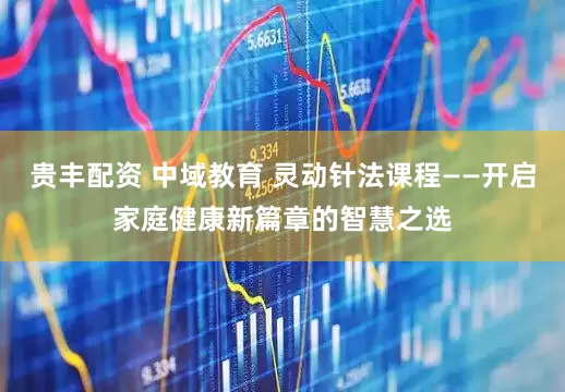 贵丰配资 中域教育 灵动针法课程——开启家庭健康新篇章的智慧之选