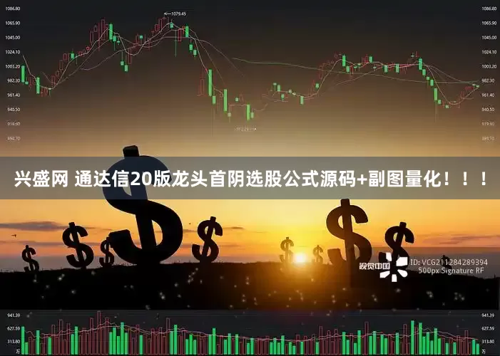兴盛网 通达信20版龙头首阴选股公式源码+副图量化！！！