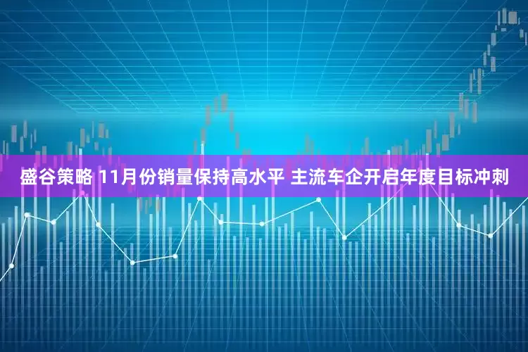盛谷策略 11月份销量保持高水平 主流车企开启年度目标冲刺